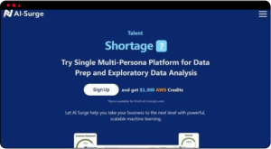 AI Surge Cloud