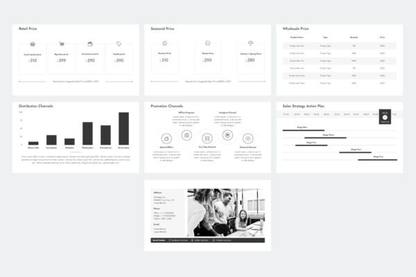 Sales Strategy Plan PowerPoint