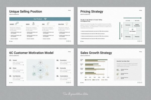 Sales Strategy Plan PowerPoint Presentation