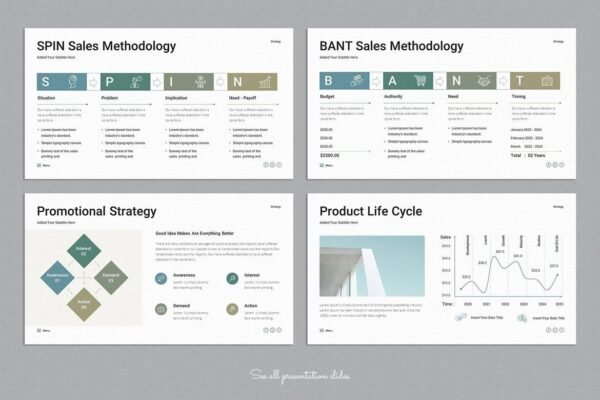 Sales Strategy Plan PowerPoint Presentation