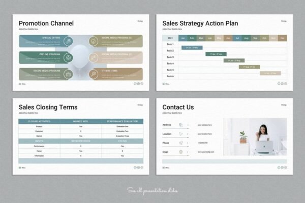 Sales Strategy Plan PowerPoint Presentation