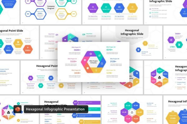 Hexagonal Infographic