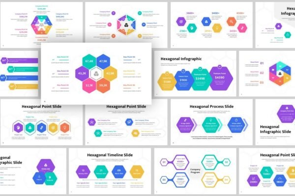 Hexagonal Infographic