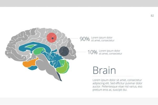 Infographic 2 Powerpoint