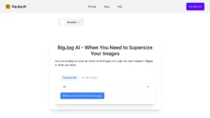 BigJpg AI